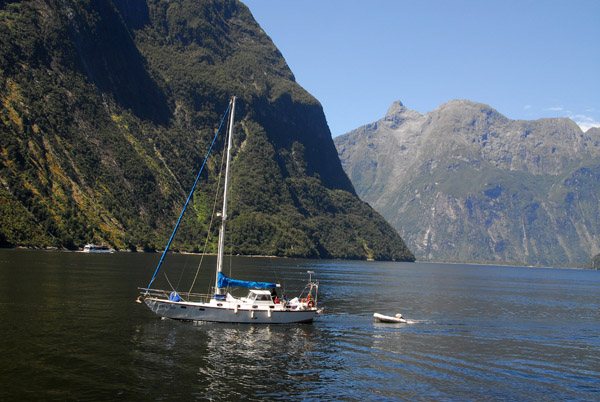 Private sailboat Southern Bear, Milford Sound