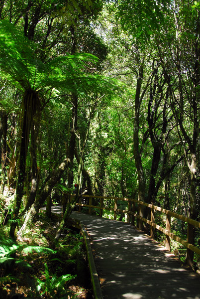 Trail from the cruise terminal to the parking lot