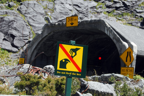 Don't feed the Kea sign at the Homer Tunnel