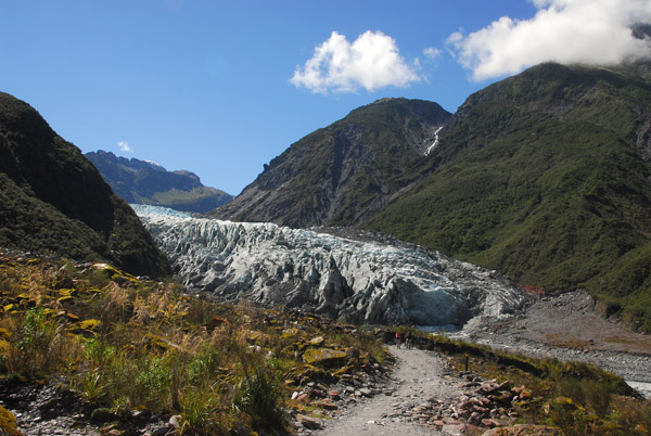 Fox Glacier