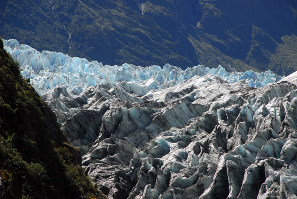 Fox Glacier