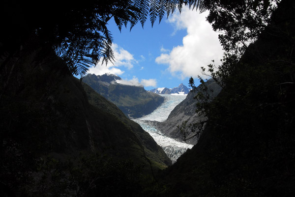 View of Fox Glacier from the end of the trail