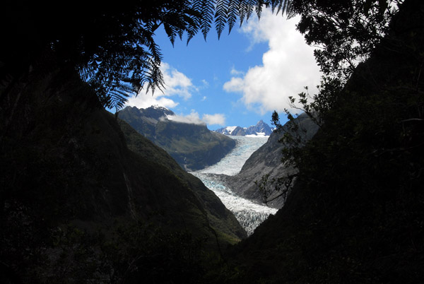 View of Fox Glacier from the end of the trail