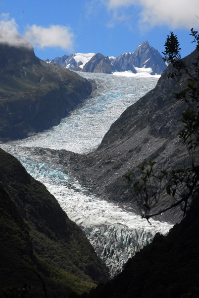 Fox Glacier view