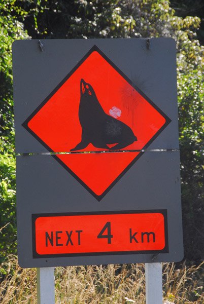 Seal Crossing, New Zealand Highway 1