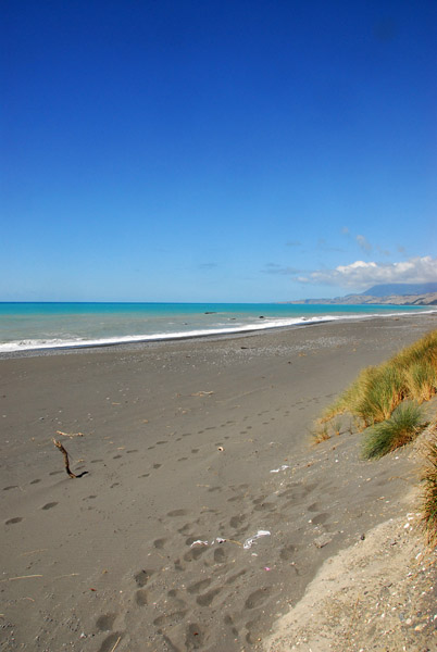 Long sandy beach south of Kekerengu