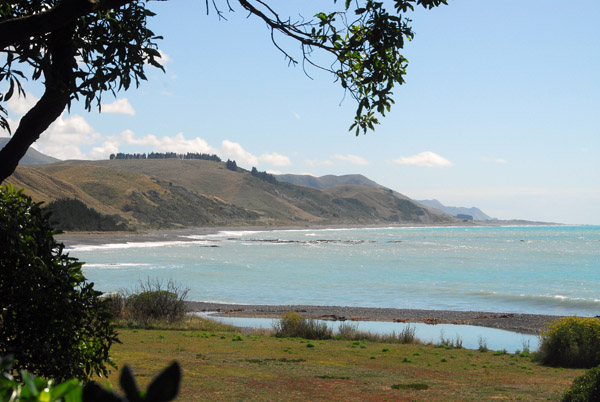 View north, Kekerengu