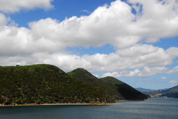 The first hour of the 3 hour crossing is through the scenic Queen Charlotte Sound & Tory Channel