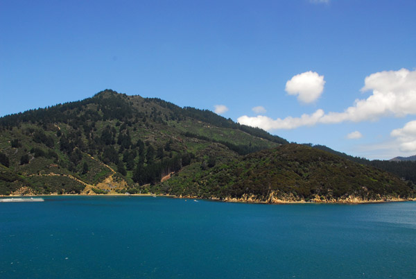 Te Pangu Bay