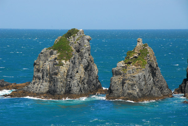 Pinnacles at West Head, Tory Channel