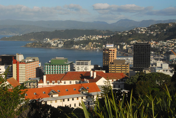 Downtown Wellington from the Botanic Gardens