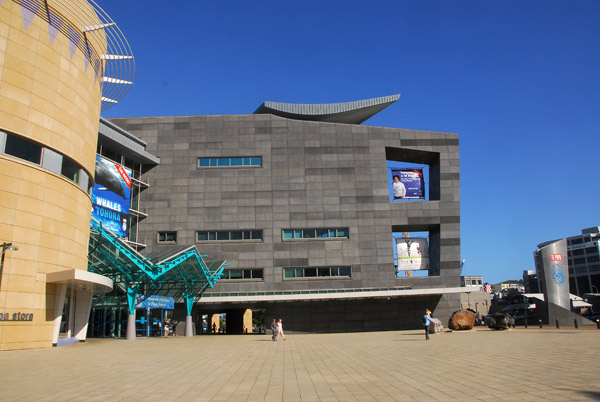 Te Papa National Musem, Wellington