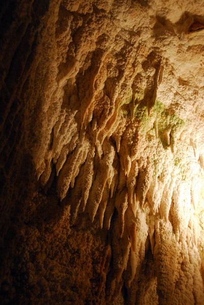 Aranui Cave, Waitomo