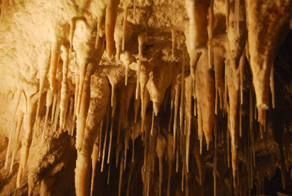 Aranui Cave, Waitomo