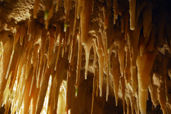 Aranui Cave, Waitomo