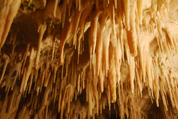 Aranui Cave, Waitomo
