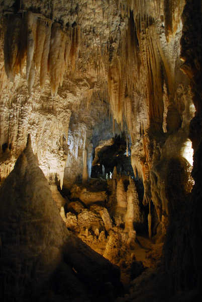 Aranui Cave, Waitomo