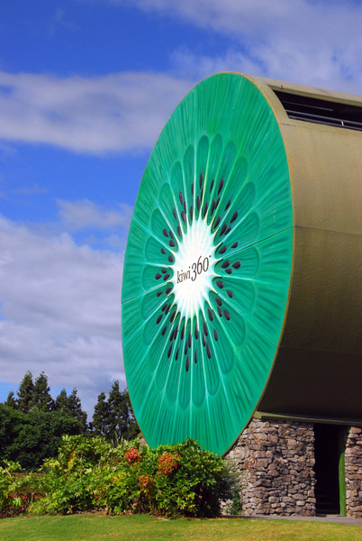 Giant roadside Kiwi, Te Puke