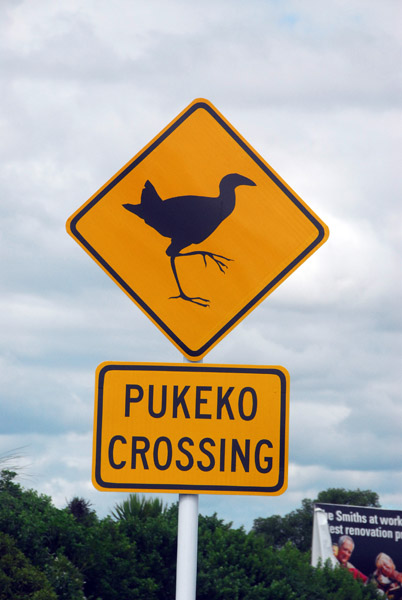 Pukeko Crossing