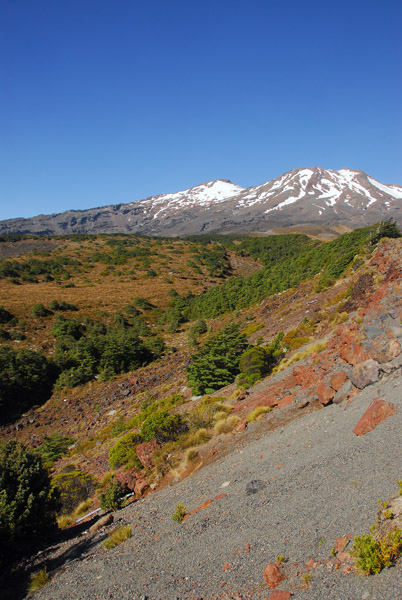 Tongariro National Park