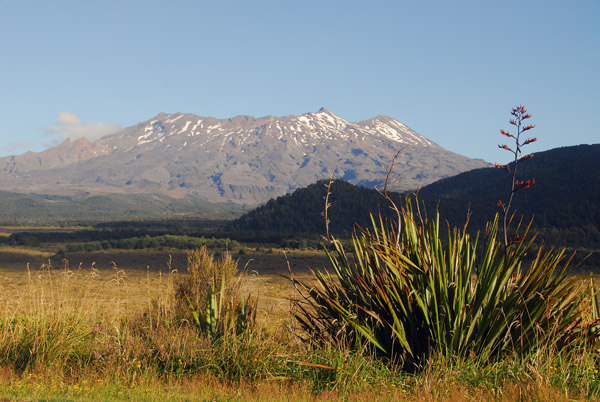 Mount Ruapeho seen from the north