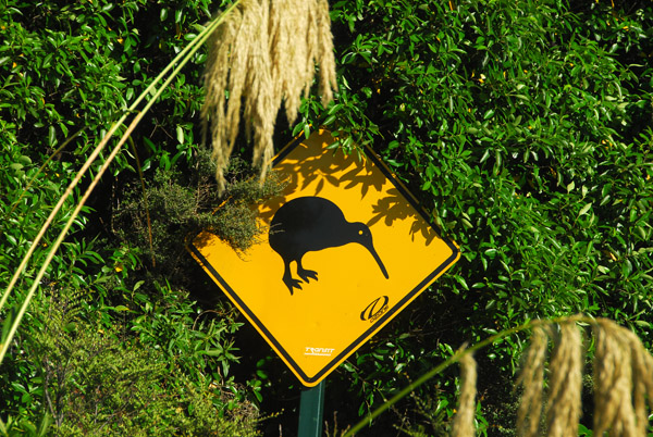 Unmodified kiwi crossing sign, Tongariro National Park
