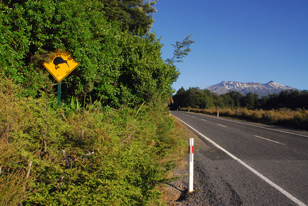 Highway 48 to Whakapapa Village, Tongariro National Park