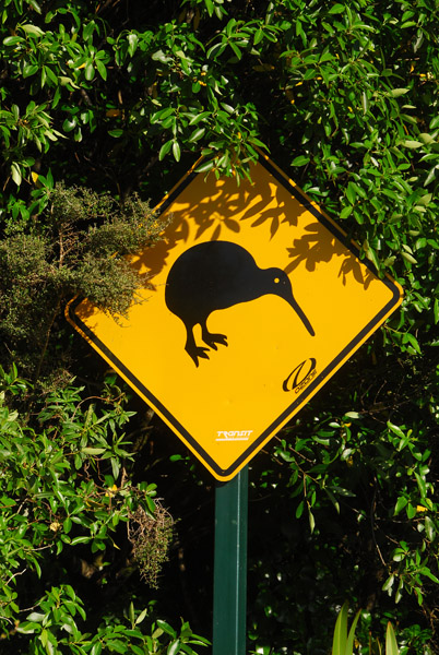 Kiwi Crossing, Tongariro National Park