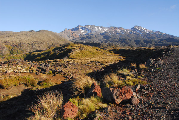 North side of Mount Ruapehu, Tongariro National Park