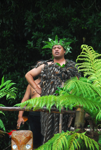 The Chief, Tamaki Maori Village
