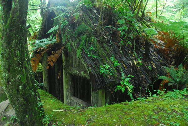 Traditional Maori house (whare), Te Wairoa