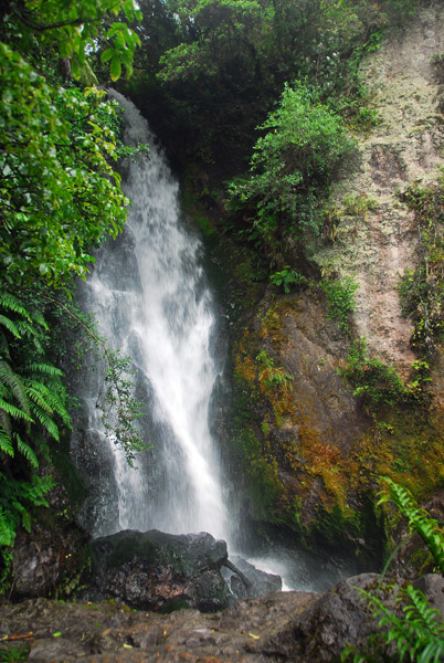 Te Wairoa Falls near the Buried Village