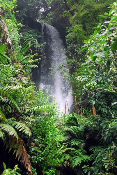 Te Wairoa Falls near the Buried Village