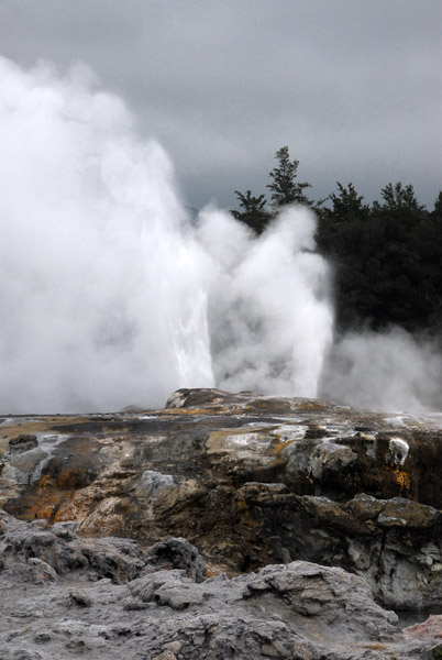 Pohutu geyser, Whakarewarewa, Rotorua