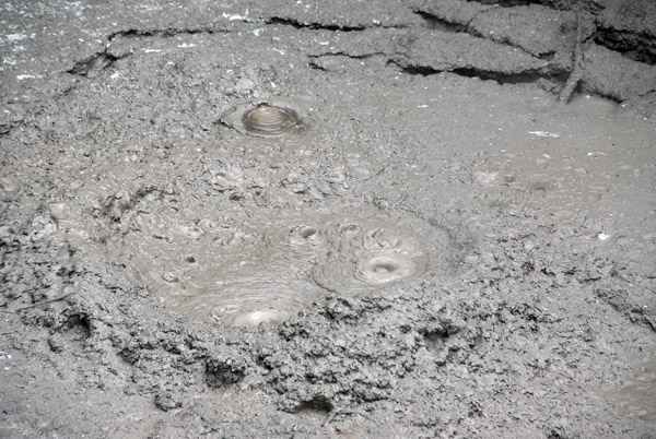 Boiling mud pot, Whakarewarewa, Rotorua