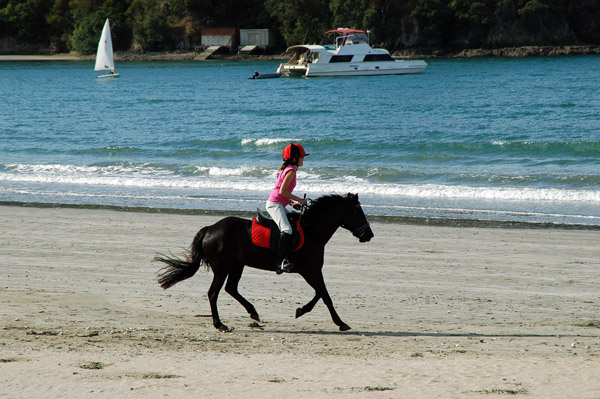 Horse riding on Oneroa Beach, Waiheke Island