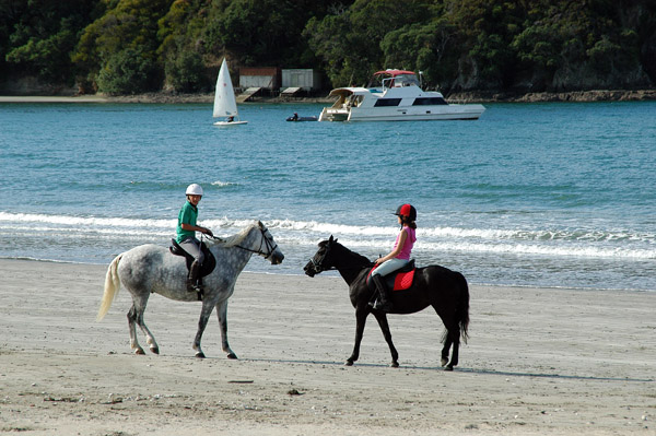 Horse riding on Oneroa Beach, Waiheke Island