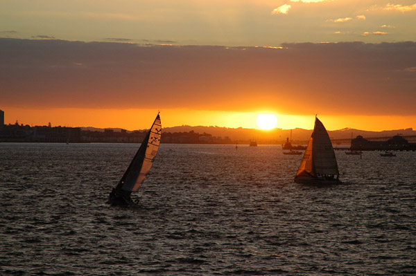 Sailboats at Sunset, Auckland Harbour