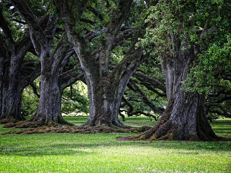 louisiana