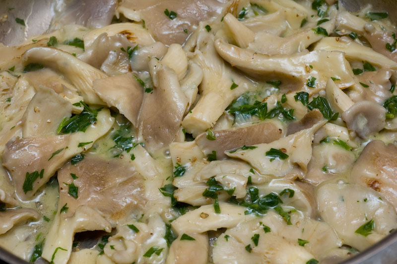 pleurotus ostreatus... sauteed
