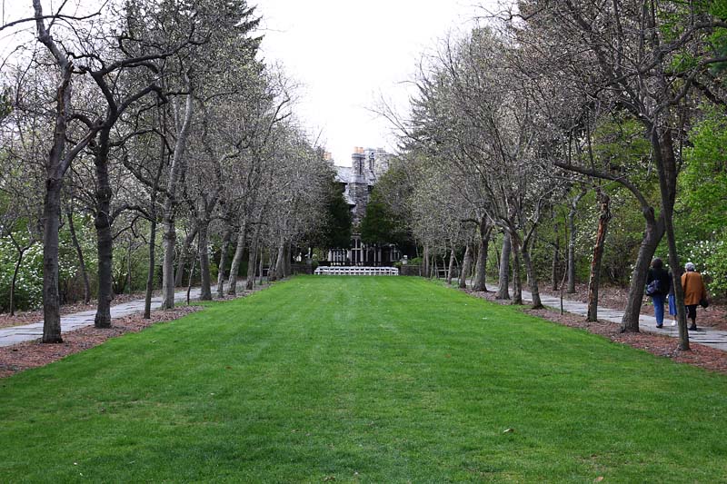 Magnolia Walk