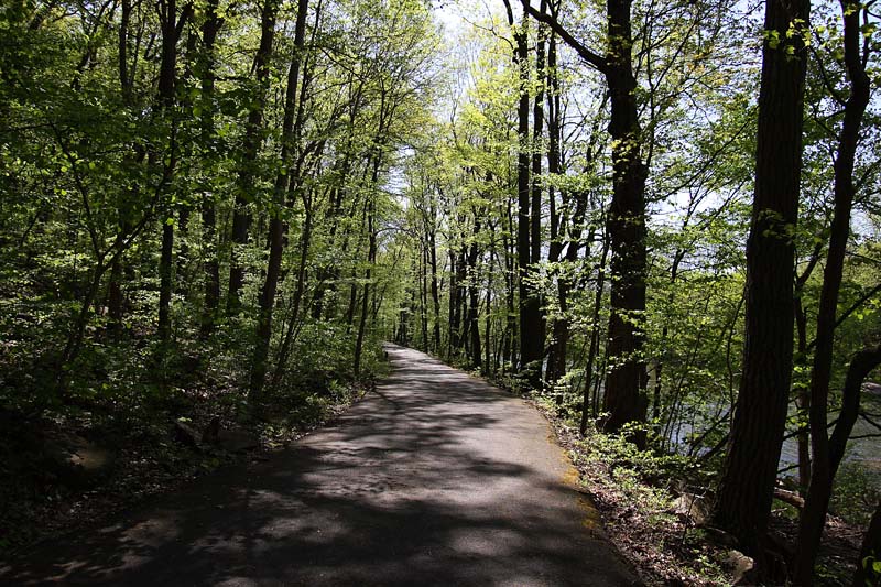 Spring Afternoon
