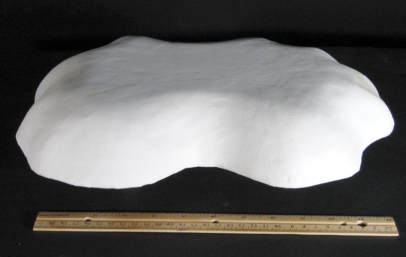 Drape Form