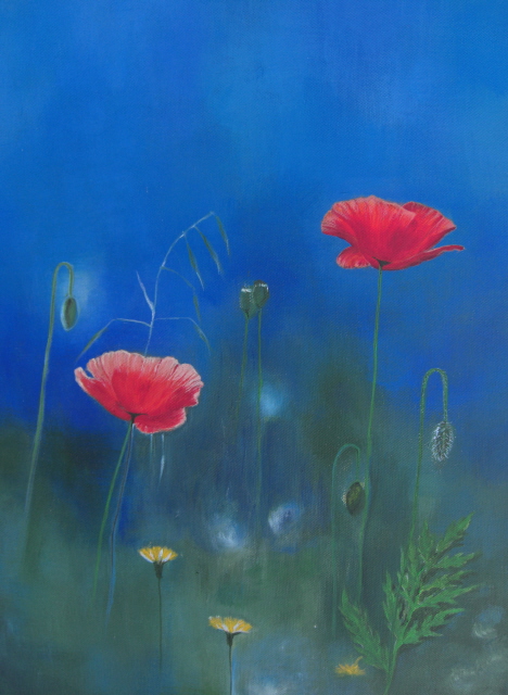 poppies