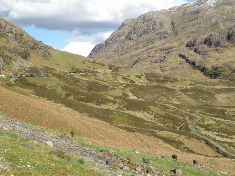 DPP_0048.JPG