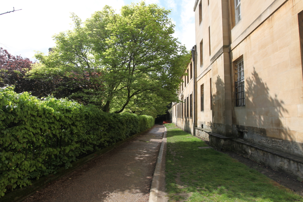DPP_0045.JPG