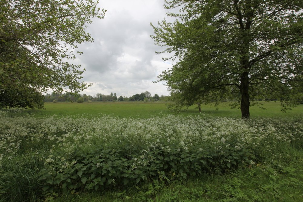 DPP_0066.JPG