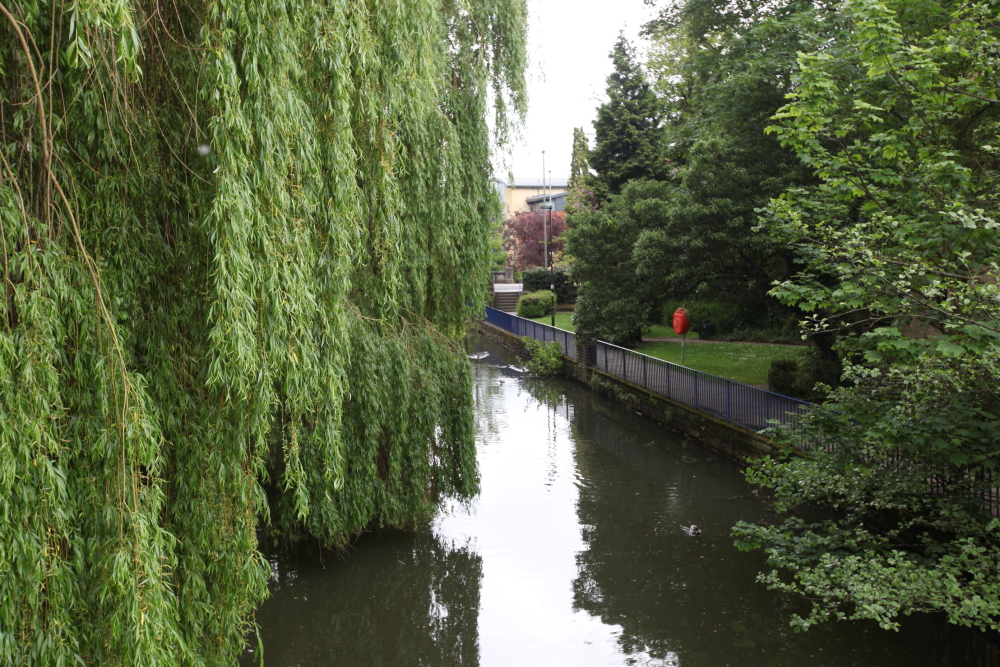 DPP_0254.JPG