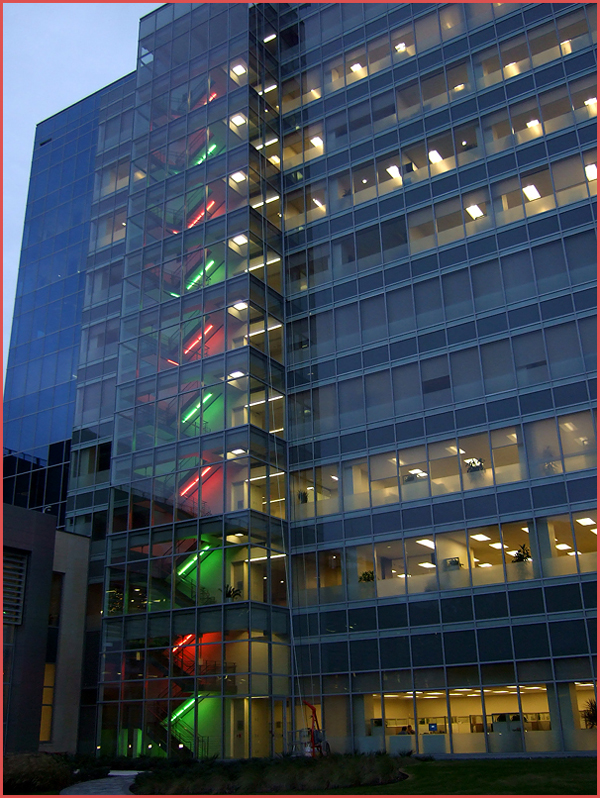 festive building