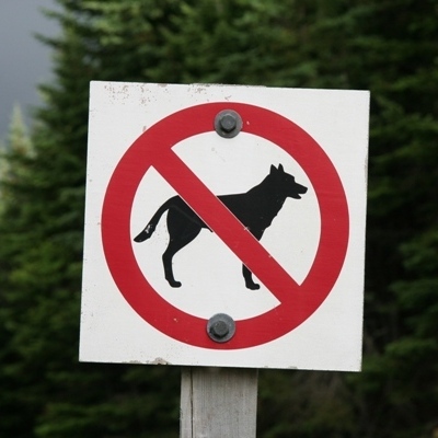 No wolves